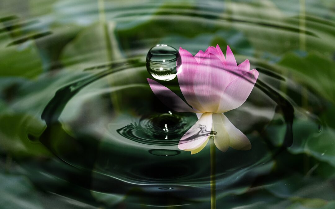 Yoga: The Science of Awareness & Wellness