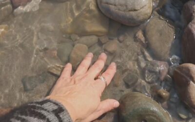 Sankalpa, Karma, & Miracles: Meditation as a Game Changer in My Life