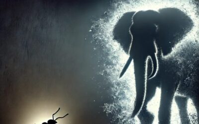 Samadhi – Facciamo diventare questo elefante nella stanza una formichina carina carina.